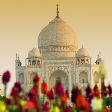 Taj Mahal | Top 3 India Holi Festival