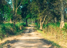 Kaziranga National Park | #India #viaggigiovani Kaziranga National Park