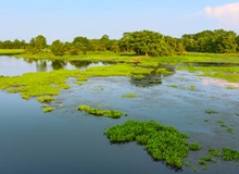 Majuli | #India #viaggigiovani Majuli
