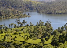 Santuario Periyar Wild Life | #TourIndia #viaggigiovani Santuario Periyar Wild Life