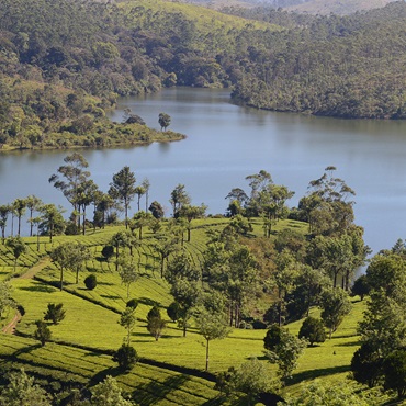 Lago nel Periyar National Park | #viaggigiovani #TourIndia Lago nel Periyar National Park | Top 3 India Tamil e Kerala