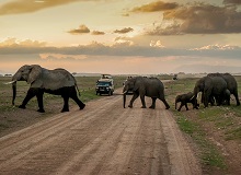 Safari nell'Amboseli National Park