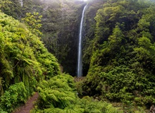 Levada do Caldeirão Verde