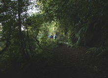 Levada do Furado