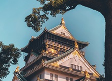 Castello di Osaka