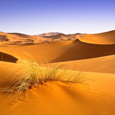 Deserto del Sahara | Top 3 Marocco Special