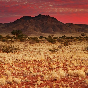 Kalahari | Top 3 Namibia