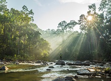 Taman Negara NP