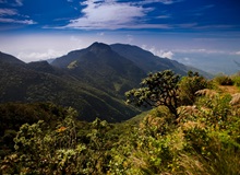 Paesaggi dell'Horton Plains National Park | #SriLanka #viaggigiovani Paesaggi dell'Horton Plains National Park