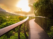 Kirstenbosch National Botanical Garden | #Sudafrica #viaggigiovani Kirstenbosch National Botanical Garden