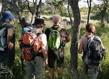 Safari a piedi nel Kruger National Park
