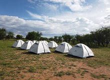Camping Serengeti