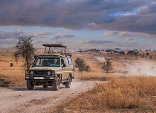 Safari Serengeti NP | #viaggigiovani #Tanzania Safari Serengeti NP
