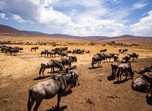 Tarangire National Park | #Tanzania #viaggigiovani Tarangire National Park