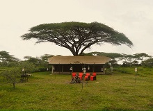 Pamoja Migration Camp