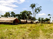 Serengeti Savannah Camp