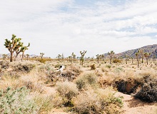 Paesaggio Yucca Valley | #ViaggioUsa #viaggigiovani Paesaggio Yucca Valley