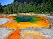 Yellowstone