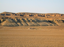 Kyzilkum desert
