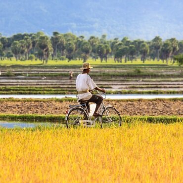 Bici Delta del Mekong | Top 3 Vietnam Solidale