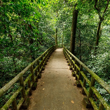 Natura vietnamita | Top 3 Vietnam Surprise