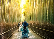 Foresta di bamboo Arashiyama