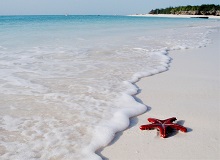 Acqua cristallina delle spiagge di Zanzibar