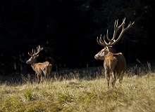 Escursione diurna | #Trentino #viaggigiovani Escursione diurna