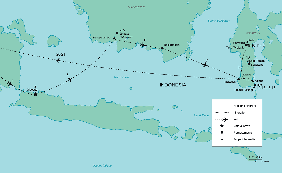 Itinerario Kalimantan e Sulawesi | #Indonesia #viaggigiovani