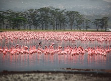 Lake Nakuru National Park