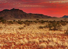 Kalahari Desert