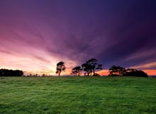 Auckland | #viaggigiovani #ViaggiNuovaZelanda Auckland