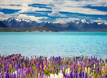 Lake Tekapo | #viaggigiovani #ViaggiNuovaZelanda Lake Tekapo