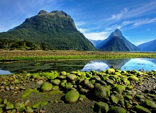 Milford Sound | #viaggigiovani #ViaggiNuovaZelanda Milford Sound