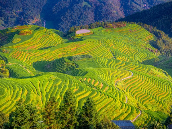 Le risaie di Longji, Guilin | Viaggi in Cina
