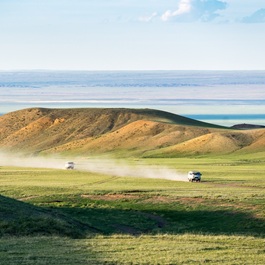 Nella steppa mongola | Viaggiare in Mongolia