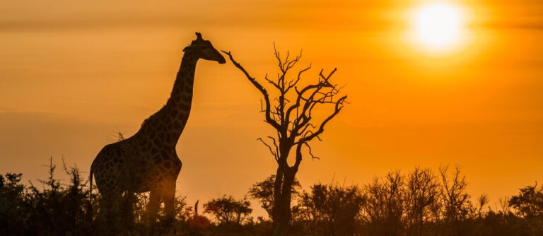 cape_town_e_kruger_park