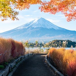 Vista sul Monte Fuji | Viaggiare in Giappone