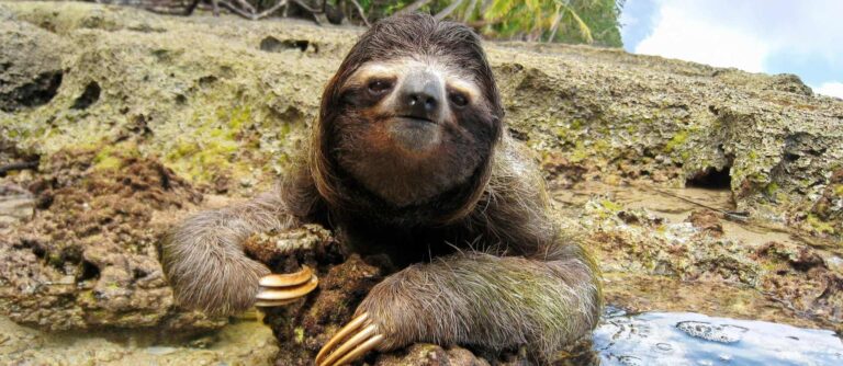 costa_rica_il_meglio