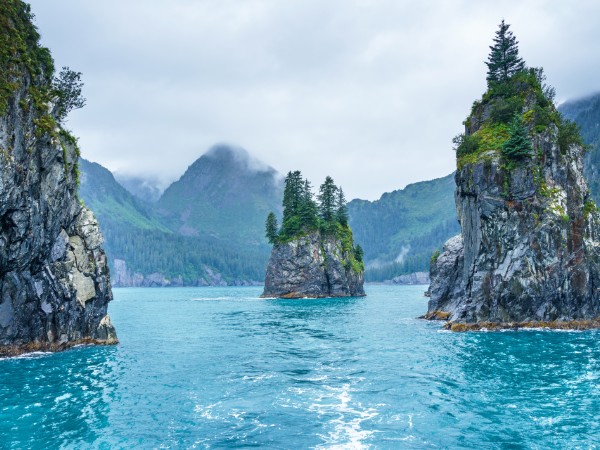 Fiordi di Kenai in Alaska | Usa Viaggio
