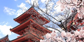 Fushimi Inari, Kyoto | Viaggiare in Giappone