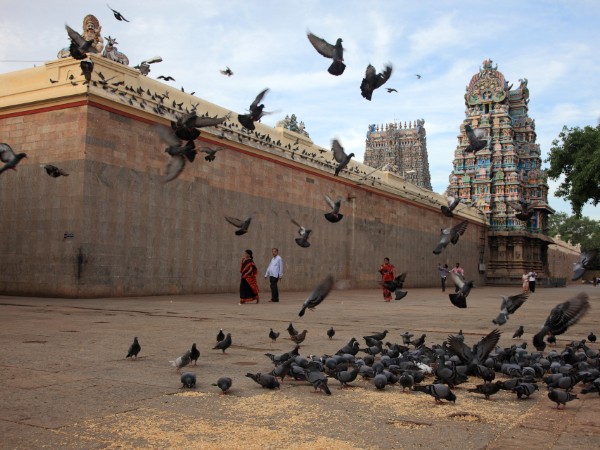 Madurai Fort | India Viaggio