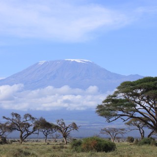 Kilimanjaro