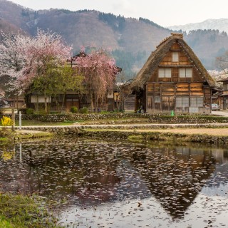 Shirakawa go