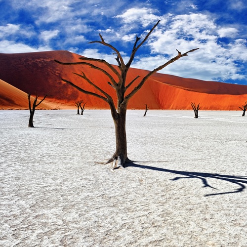 Sossusvlei | Viaggiare in Namibia