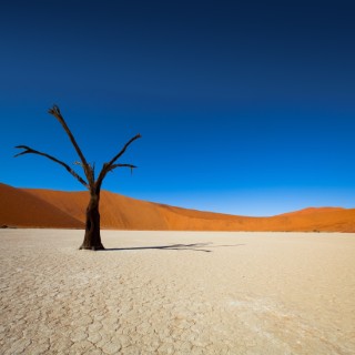 Sossusvlei