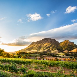 Montagna Simonsberg a Stellenbosch | Viaggiare in Sudafrica