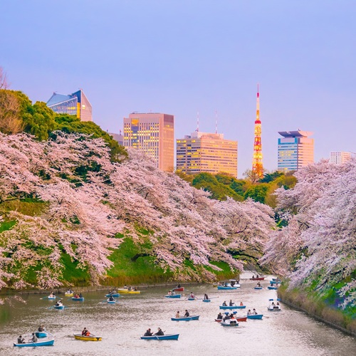 Tokyo Chidorigafuchi | Viaggiare in Giappone