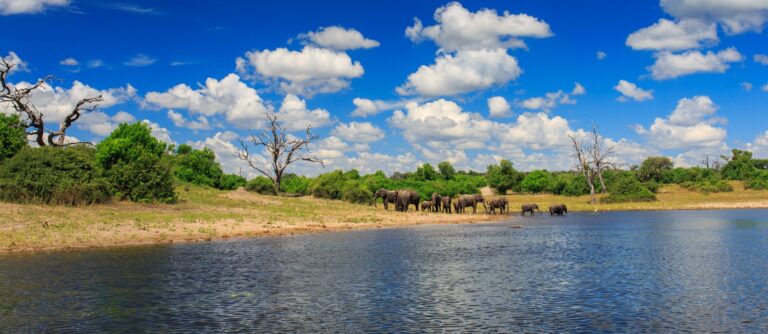 Tour African Wonders | Botswana Safari