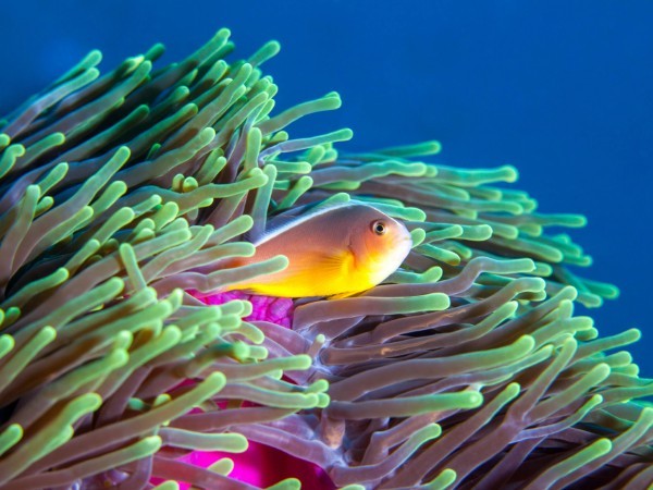 Vilanculos | Mozambico Viaggio